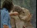 christian the lion