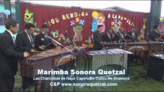 Marimba Sonora Quetzal - Las Chancletas de Nayo Capero/En Cuilco Me Enamoré