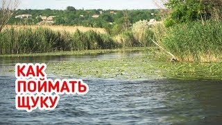 Снасти на что ловить щуку летом