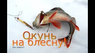 Ловля окуня на блесну зимний