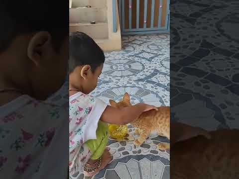 Sidharth and cat(Chinni) !!!!!! Siddu taking care of chinni.