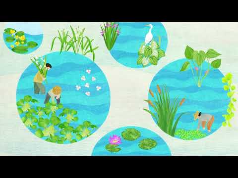 新北市三芝區共榮社區