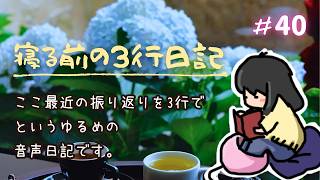寝る前の3行日記　youtubeで40回目(๑•᎑•๑)