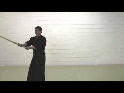 15Kendo Basics III Tandoku Niho Zenshi Niho Kotai Men