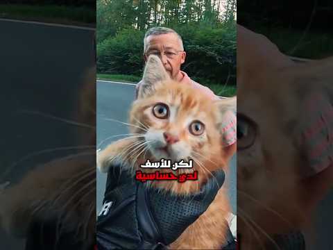 دراج ينقذ قطة صغيرة وسط الطريق!🐱