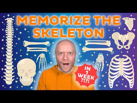 Anatomie & Behandlungswissen Videos – Interaktives Nachschlagewerk für Physio, Massage, Therapie 27 You have less than 1 week to learn all 206 bones. Do this!
