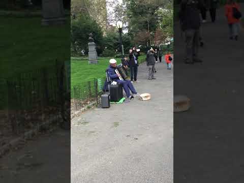 Man playing the accordion at Central Park. Very cool song