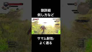 狼詳細　ウィッチャー3