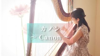 Download lagu Canon カノン /  パッヘルベル 【ハープ演奏】 mp3