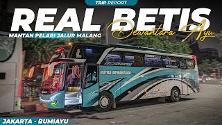Download lagu GAK NYANGKA! TERNYATA SUOOSS JUGA 😝 | Trip Report Dewantara Ayu 'Real Betis' (Jakarta-Bumiayu) mp3