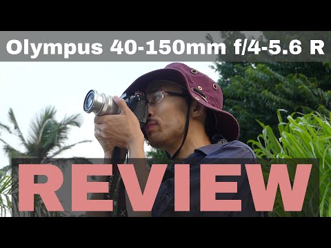 Video thumbnail for Video Review 2