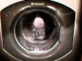 Hotpoint Wash 7