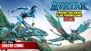 Download lagu PARA PENUNGGANG NAGA PELINDUNG PLANET | ALUR CERITA FILM AVATAR (2009) mp3