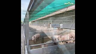 Systèmes de rafraîchissement