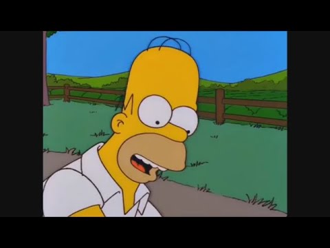 Homer JAY Simpson