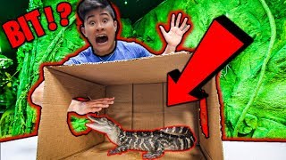 Whats In The Box CHALLENGE **BIT by ALLIGATOR**