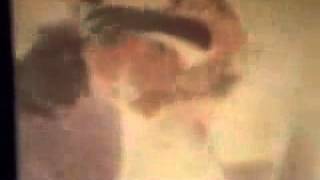 The Clean   Tally Ho 1981