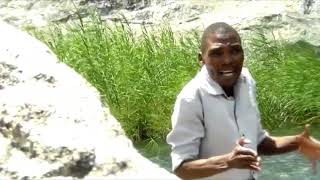 Download lagu Evance mereka watsopano mp3