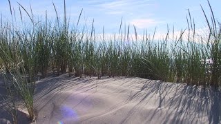 Effortlessly - Sister Hazel (piano cover)