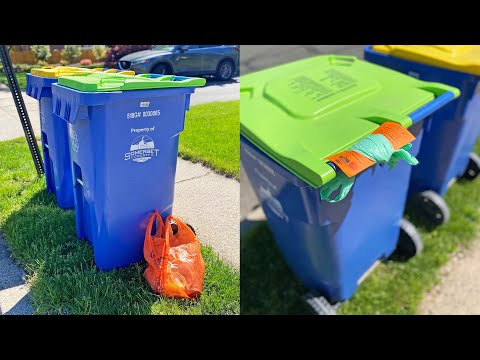 Curbing Hunger 2022 | SCNJ