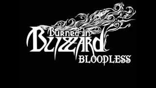 Burned In Blizzard - Whiteout [full album] (2011)