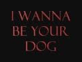 The Stooges - I Wanna Be Your Dog Lyrics 