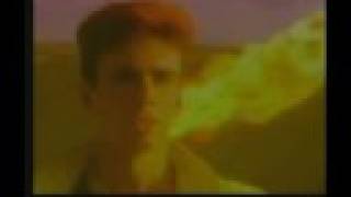 Real Life - Openhearted (1983)