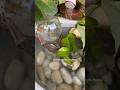 Creative Aquarium In Tub Shorts Aquarium Fishtank Aquariumfish Diyideas Diyaquarium