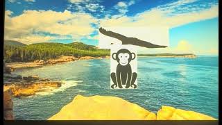 The monkey Jim 🐵