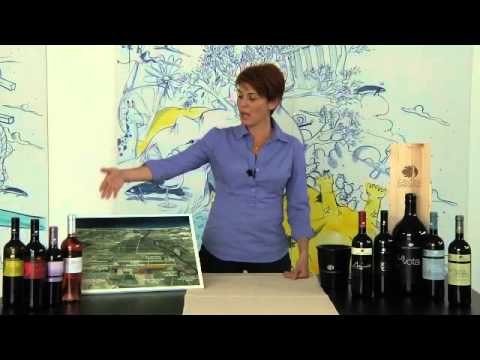 Cantine Barbera - L' Azienda