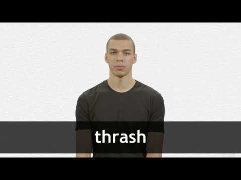 THRASH definition in American English Collins English Dictionary THRASH definition in American English Collins English Dictionary