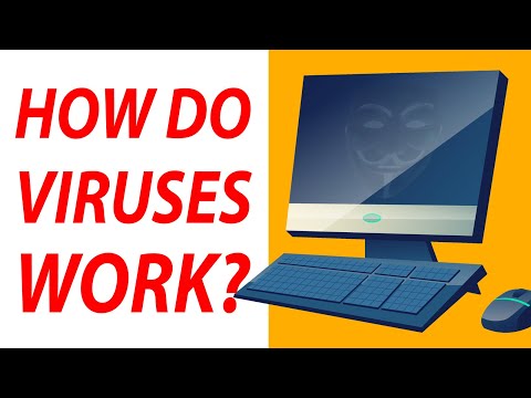 Trojans, AutoRun, USB Jackers, DDoS, Worms, Keyloggers, Botnets, Cryptojackers, Ransomware EXPLAINED