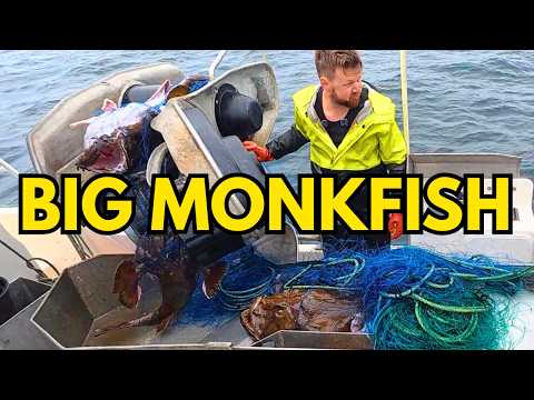 90 Full Monkfish Nets on the North Sea (Lots of BIG Fish) #10