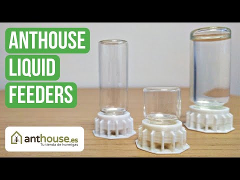 Recensione Dei Feeder Liquidi Anthouse