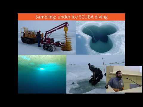 Loïc Michel - Increased sea ice cover disrupts food web structure in coastal Antarctica