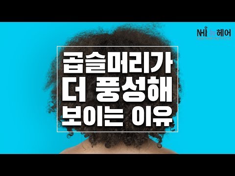 곱슬머리가 더 풍성해 보이는 이유 - 뉴헤어 I 모발이식 I 탈모QnA I