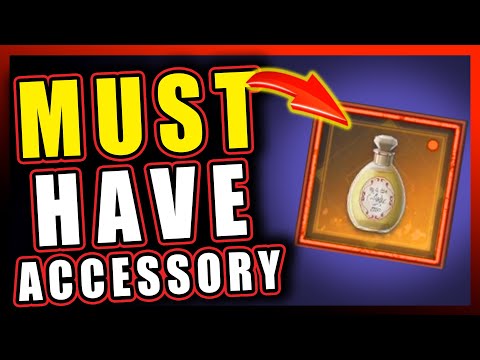 The Best Accessory to have | Rise of the Ronin