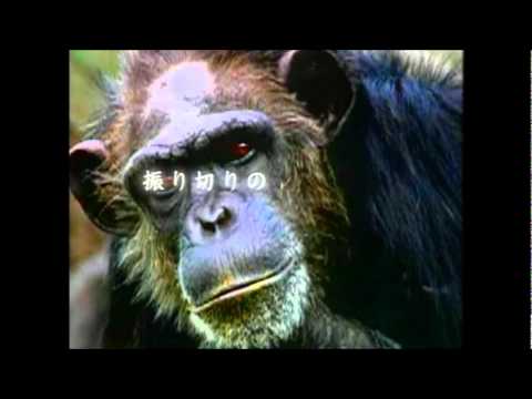 PRIDE 2006 OPEN WEIGHT GRAND PRIX - Total Elimination DVD Intro