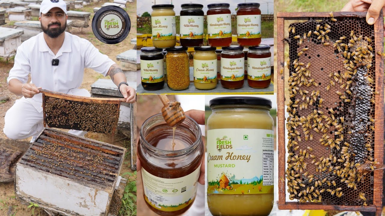 100% Pure Raw Honey At Fresh Fields || Multi Flora, Sidr, Mustard, Ajwain Tulsi Honey & More