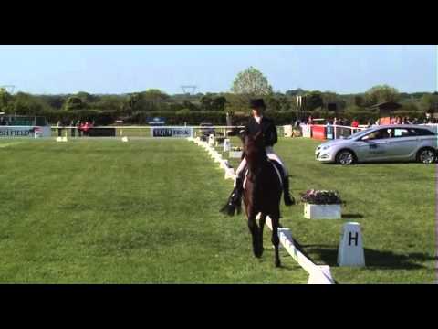 BLM Diamond Delux dressage Tattersalls 2013 (Stellor Sport Horses)