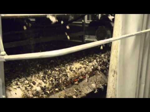 OMAZ Italy - MACHINE RAMASSAGE DEJECTIONS | cage poules pondeuses