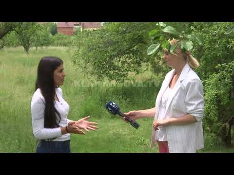 Hajna të armatosur tentojnë ta plaçkisin një shtëpi në Stanovc - 18.05.2018 - Klan Kosova