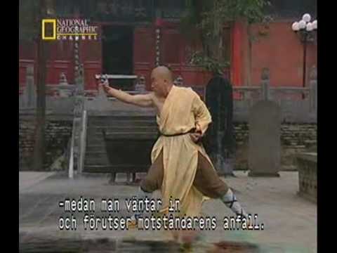 shaolin monk montage
