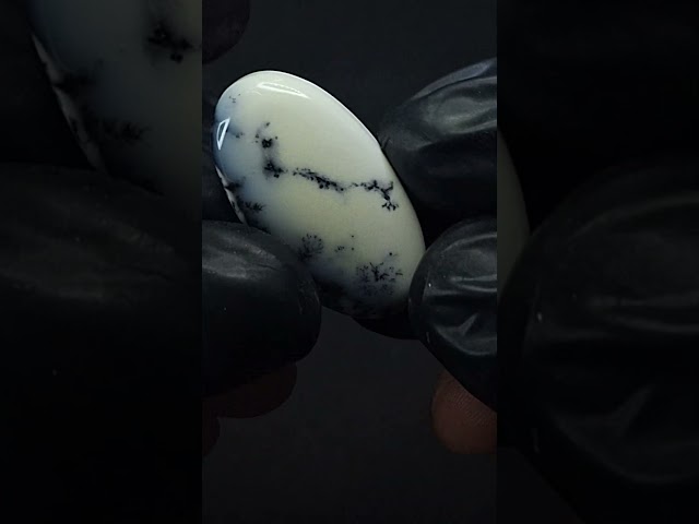 حجر اوبال شجري طبيعي