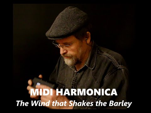 Brendan Power - MIDI HARMONICA + CHORDS in an IRISH TUNE - The Wind that Shakes the Barley