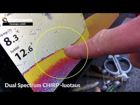 Kalle Paavola opastaa ahvenen etsimistä DI- ja 2D-luotausnäkymän avulla.