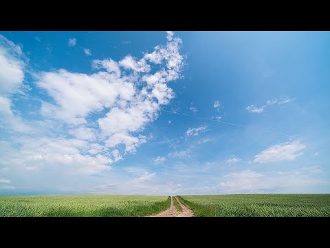 Weather Europe Tomorrow (2025/08/09)