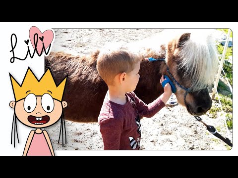 How To Groom a PONY | Daily Horse Care Routine | Lili & KIDS Vlog #3