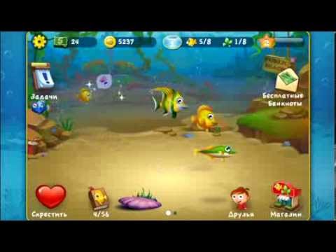 Pocket Fishdom (by Playrix Games) - free offline simulation game for Android - gameplay.