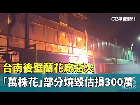 台南後壁蘭花廠惡火　「萬株花」部分燒毀估損300萬